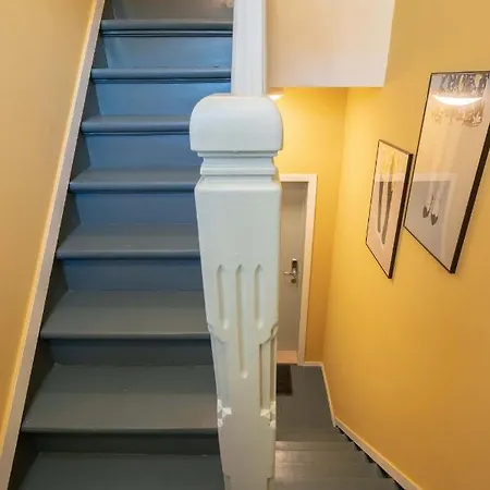 Apartment Shway - The Light Blue Parrot *