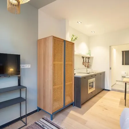 Apartment Shway - The Light Blue Parrot